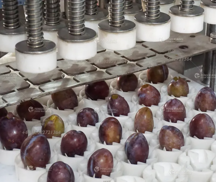 Plum Apricot Peeling Conveyor Machine 5000 Pieces Per Hour