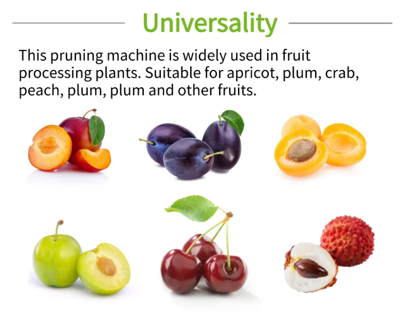 Plum Apricot Peeling Conveyor Machine 5000 Pieces Per Hour