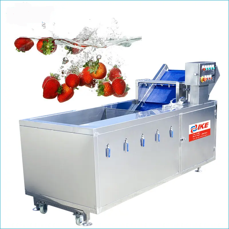 Industrial conveyor for washing fruits and vegetables