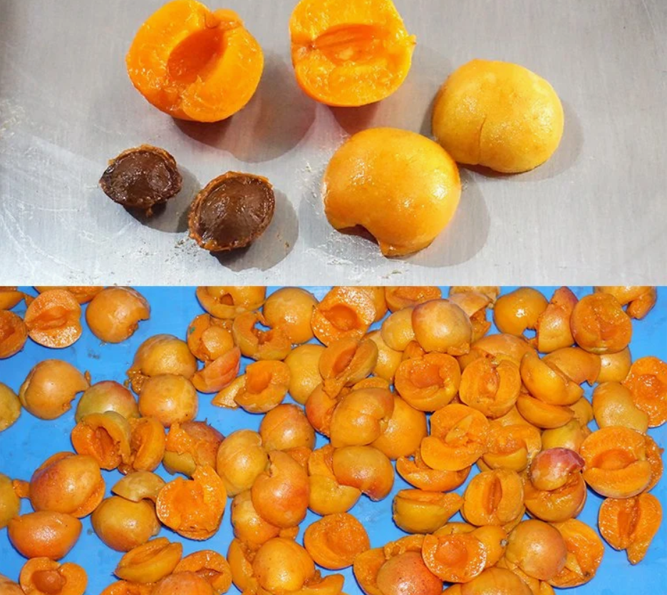 Plum Apricot Peeling Conveyor Machine 5000 Pieces Per Hour