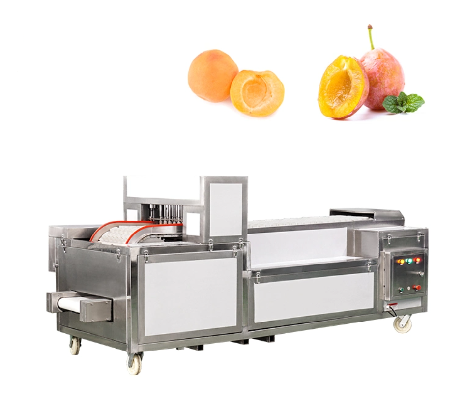 Plum Apricot Peeling Conveyor Machine 5000 Pieces Per Hour