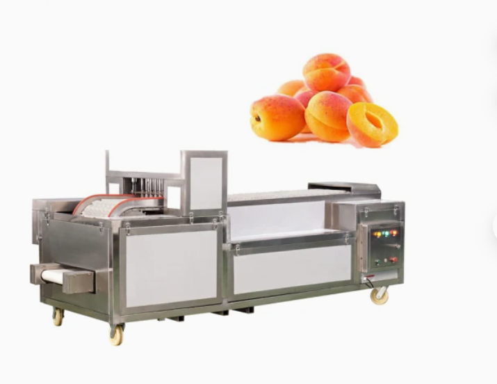 Plum Apricot Peeling Conveyor Machine 5000 Pieces Per Hour